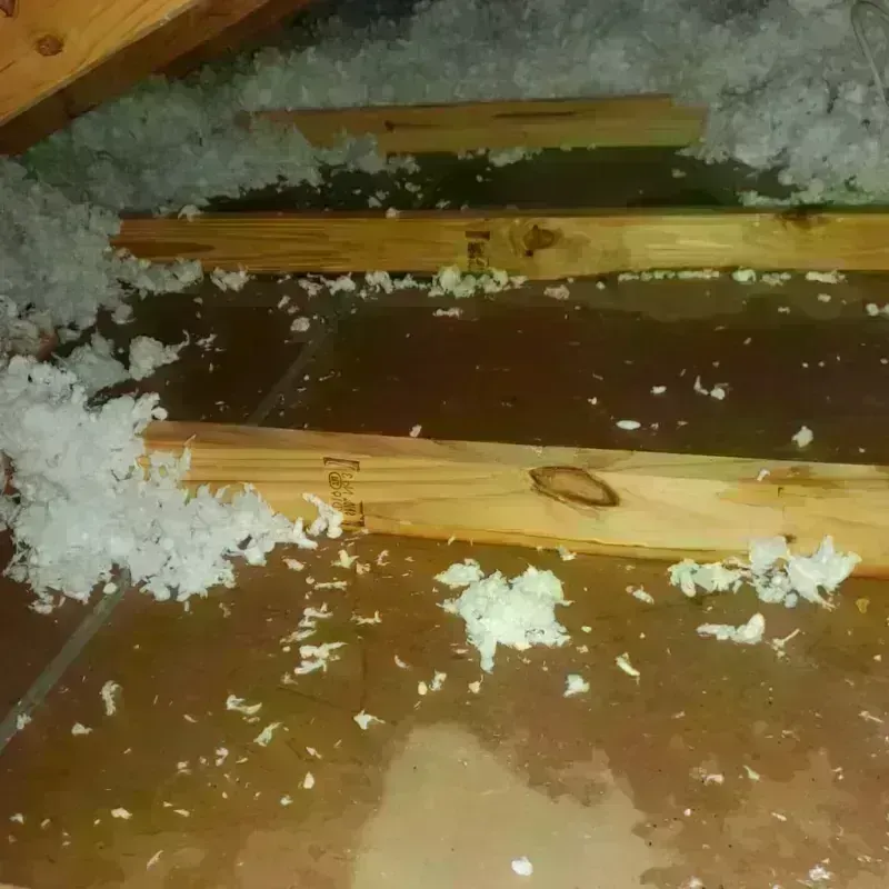 Attic Water Damage in Tupelo, MS