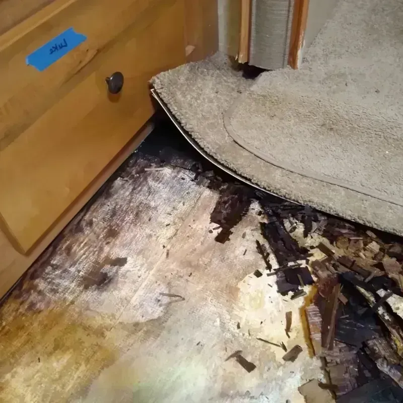 Wood Floor Water Damage in Tupelo, MS